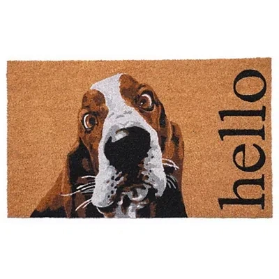 Kirkland's Basset Hound Hello Doormat In Multi