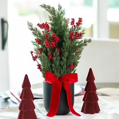 Kirkland's Berry Arrangement In Black Pot With Velvet Bow In Multi