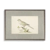 Kirkland's Bird Linen Framed Art Print In Multi