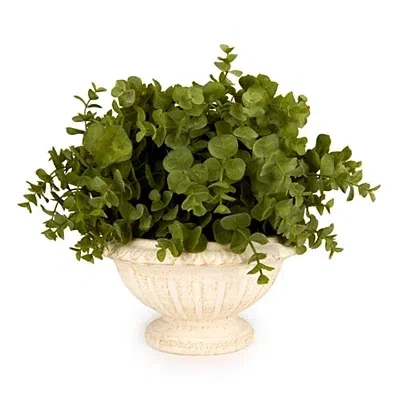 Kirkland's Boxwood Greenery In Urn Arrangement In Multi