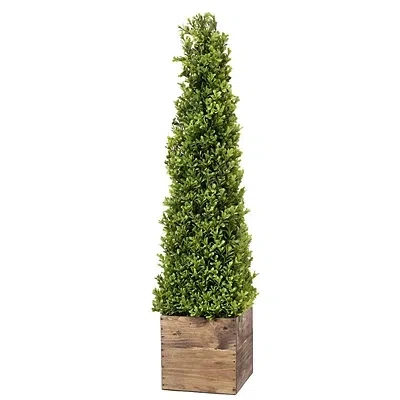 Kirkland's Boxwood Obelisk In Wood Planter In Multi