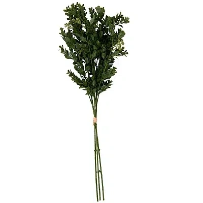 Kirkland's Boxwood Seed Bundle In Green