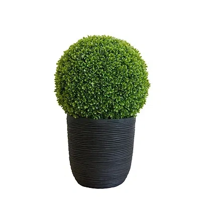 Kirkland's Boxwood Topiary In Decorative Black Pot
