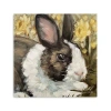 Kirkland's Buttercup Bunny Canvas Art Print In Multi