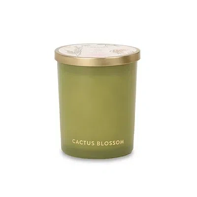 Kirkland's Cactus Blossom 2-wick Jar Candle In Green