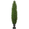 Kirkland's Cedar Pine Tree In Urn Pot In Green