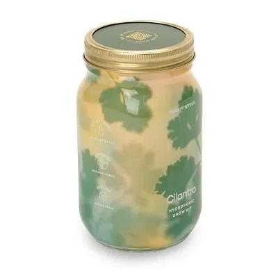Kirkland's Cilantro Garden Jar Hydroponic Grow Kit In Green