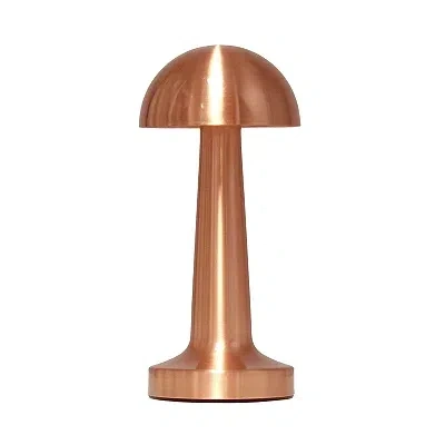 Kirkland's Copper Metal Mushroom Mini Cordless Lamp In Brown