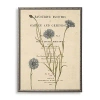Kirkland's Cornflower Book Page Framed Art Print In Multi
