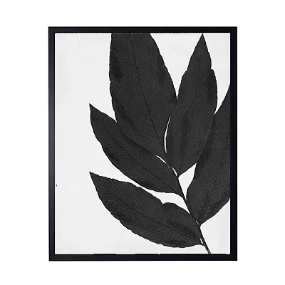 Kirkland's Cropped Leaf I Framed Art Print In Black
