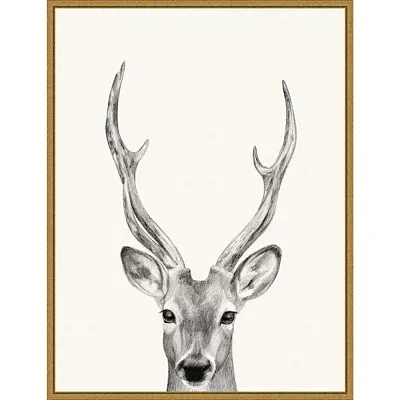 Kirkland's Deer Mug Shot Framed Canvas Art Print In Multi