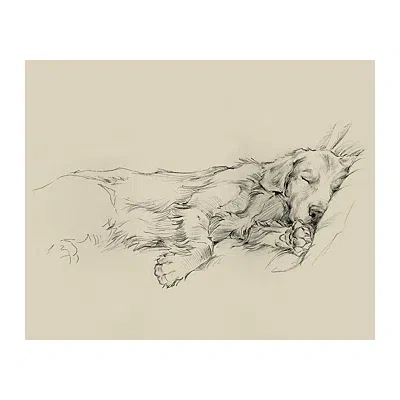 Kirkland's Dog Days Iii Canvas Art Print In Neutral