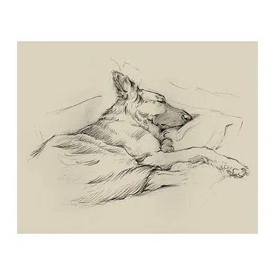 Kirkland's Dog Days Iv Canvas Art Print In Neutral