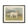 Kirkland's English Setter Bookplate Framed Art Print In Multi