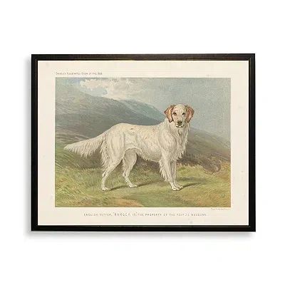 Kirkland's English Setter Bookplate Framed Art Print In Multi