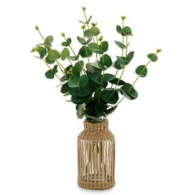 Kirkland's Eucalyptus Arrangement In Rattan Vase In Multi