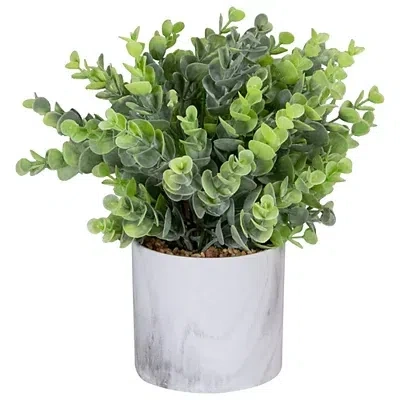 Kirkland's Eucalyptus In Marble Pot In Multi