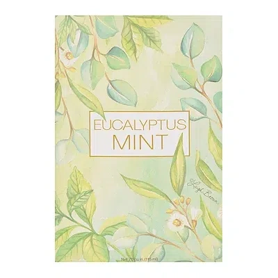 Kirkland's Eucalyptus Mint Sachet In Multi
