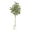 Kirkland's Eucalyptus Tree In White Planter In White