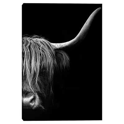 Kirkland's Face To Canvas Art Print In Black