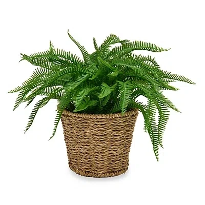 Kirkland's Fern Arrangement In Rope Basket In Multi