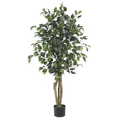 Kirkland's Ficus Silk Tree In Multi