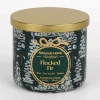 Kirkland's Flocked Fir 3-wick Jar Candle In Green