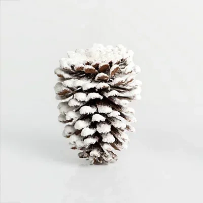 Kirkland's Flocked Pinecone Ornament In Multi
