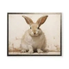 Kirkland's Fluffy Bunny Framed Art Print In Brown