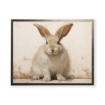 Kirkland's Fluffy Bunny Framed Art Print In Brown
