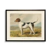 Kirkland's Foxhound Bookplate Framed Art Print In Multi