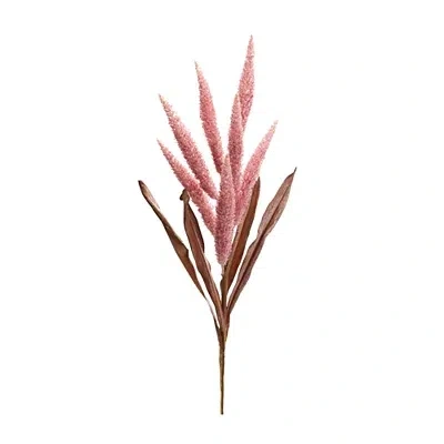 Kirkland's Foxtail Plume Stems In Pink
