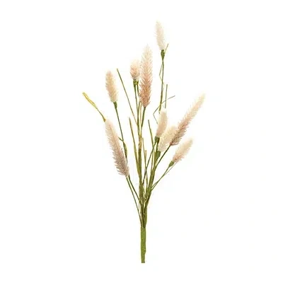 Kirkland's Foxtail Sprays In Multi