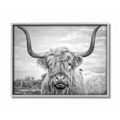 Kirkland's Framed Highland Cow Photograph In Gray