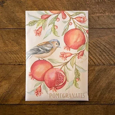 Kirkland's Fresh Pomegranates Sachet In Multi