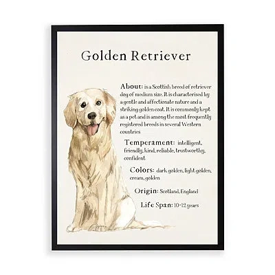 Kirkland's Golden Retriever Boxer Facts Framed Wall Plaque In Multi