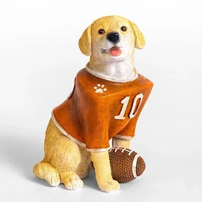 Kirkland's Golden Retriever Football Figurine In Multi