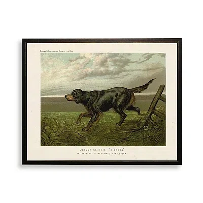 Kirkland's Gordon Setter Bookplate Framed Art Print In Multi