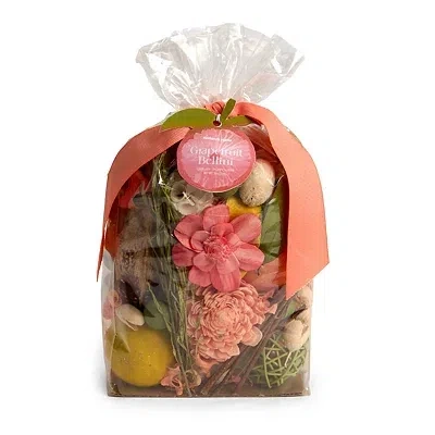 Kirkland's Grapefruit Botanical Potpourri In Multi
