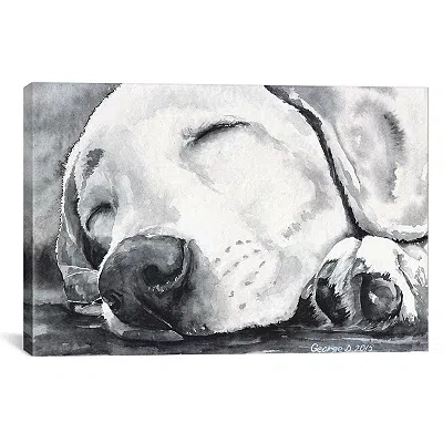 Kirkland's Happy Dreams Dog Giclee Canvas Art Print In Gray