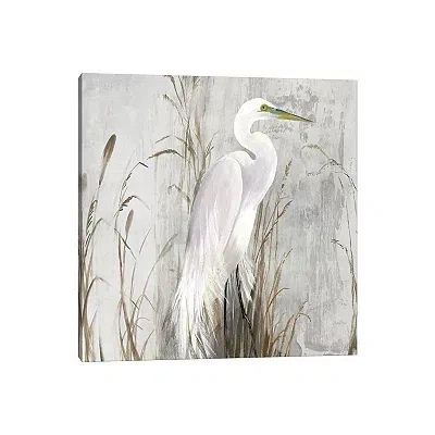 Kirkland's Heron In The Reeds Canvas Art Print In Gray