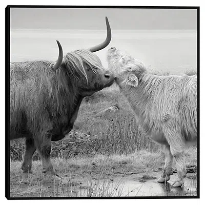 Kirkland's Highland Courting Framed Canvas Art Print In Gray