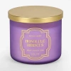 Kirkland's Honolulu Hibiscus 3-wick Jar Candle In Purple