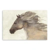 Kirkland's Into The Wind Canvas Art Print In Brown