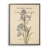 Kirkland's Iris Book Page Framed Art Print In Neutral