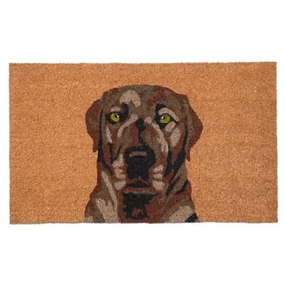 Kirkland's Labrador Doormat In Multi