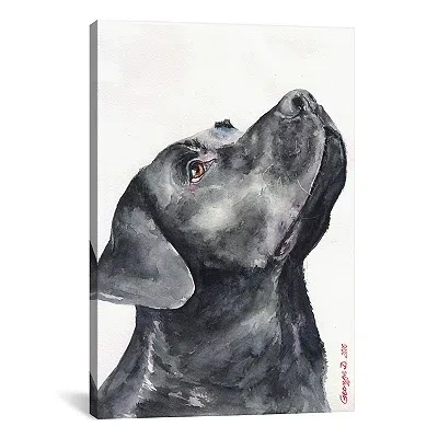 Kirkland's Labrador Giclee Canvas Art Print In Black