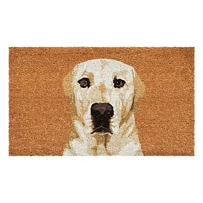 Kirkland's Labrador Retriever Doormat In Multi