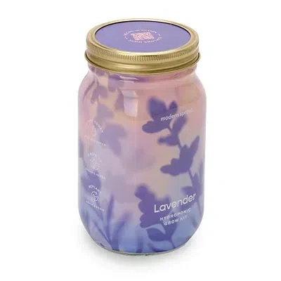 Kirkland's Lavender Garden Jar Hydroponic Grow Kit In Green