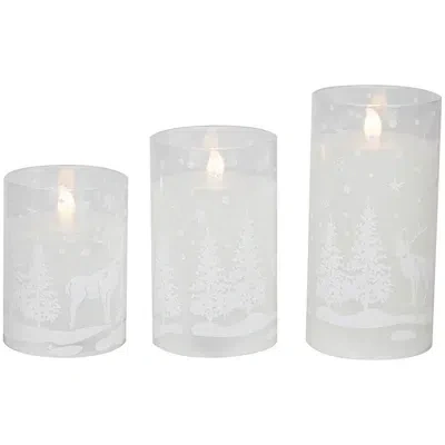 Kirkland's Led Snowy Woodland Glass Pillar Candles In White